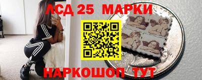 гидра Рязань