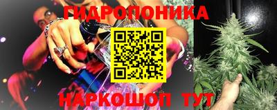2c-b Рузаевка