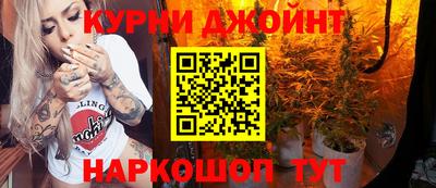 гидра Рязань